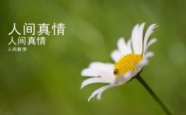 真情流露类的作文通用6篇