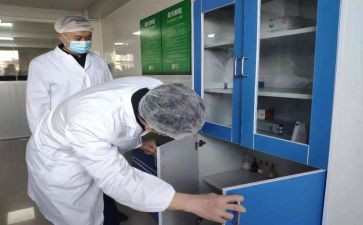 检验师述职报告模板8篇