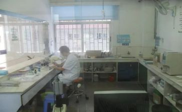 检验室工作总结模板6篇