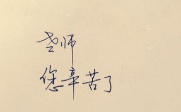 教师评述职报告范文6篇
