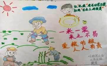 爱粮节粮活动总结8篇