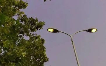 借物喻人的300的作文参考6篇