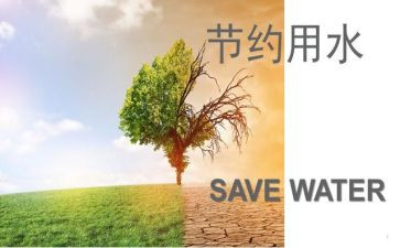 节约电的演讲稿最新8篇