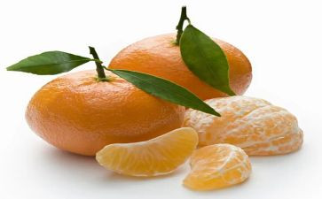 《桔子》作文最新8篇