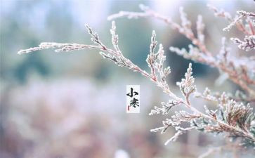 写节气的作文800字8篇