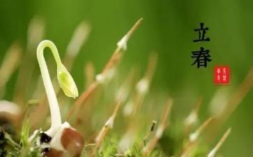 节气的作文推荐8篇