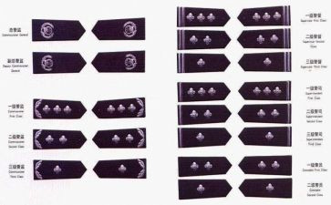 警衔晋升鉴定表自我鉴定8篇