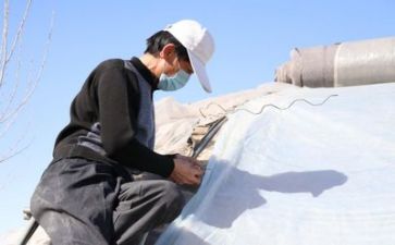 技术工作的工作总结和计划精选6篇