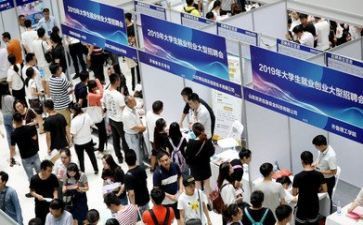 关于学生就业心得体会6篇