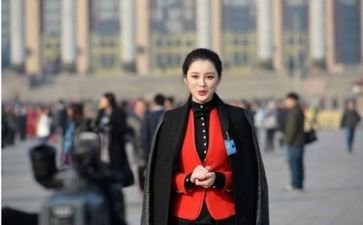 新闻记者工作总结5篇