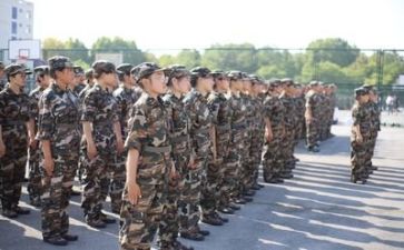 军训中心得体会500字模板6篇
