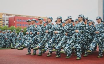 心得体会军训500字作文6篇