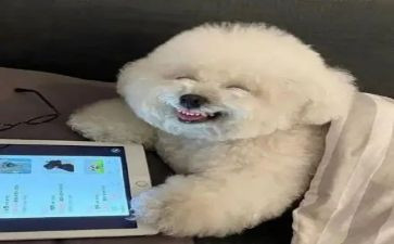 写很开心的作文通用5篇