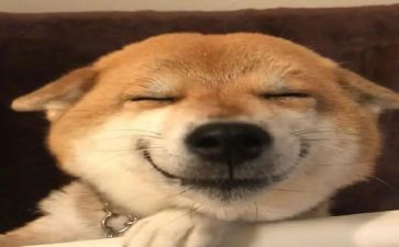 开心的作文200字7篇