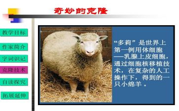 我被克隆了作文600字5篇