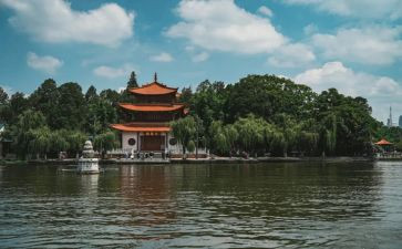 昆明的雨教案8篇