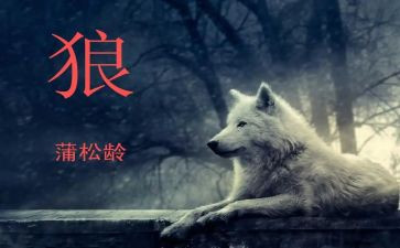 七年级上册语文《狼》教案优质6篇