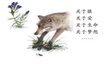 狼王梦的,读后感优秀5篇