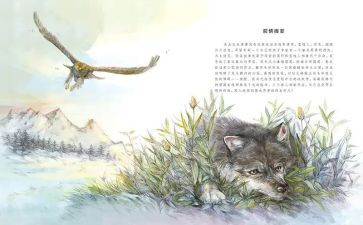 《狼王梦》的心得体会7篇
