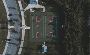 看篮球的作文最新8篇