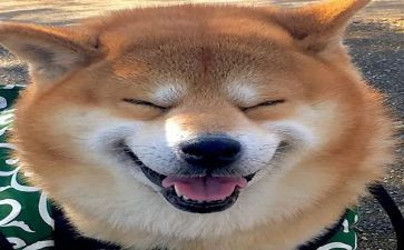 音乐国培心得体会精选7篇