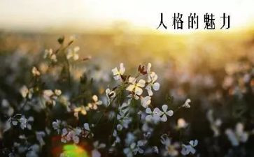 点的魅力教案8篇