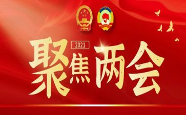 201两会心得体会8篇