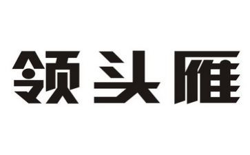 2024年领头雁培训心得体会6篇