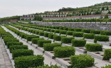 祭扫烈士陵园活动总结6篇