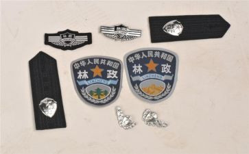 林政工作总结5篇