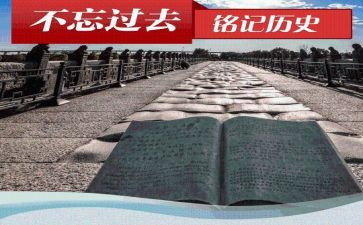 历史教师个人述职报告7篇
