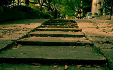 2024年物流年终总结参考6篇