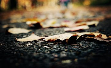 2024年物流年终总结优秀8篇