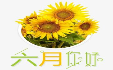第六月工作总结推荐5篇