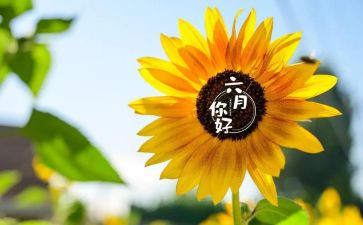 中班六月份的工作计划5篇