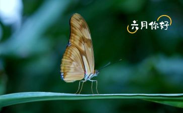 六月安全心得体会6篇