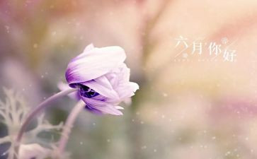 幼儿中班六月份工作计划精选5篇