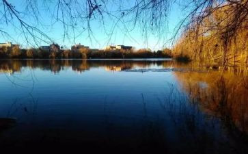 让爱留在心中作文通用6篇