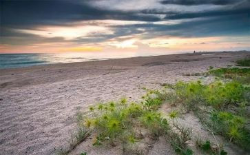 让爱留在心中作文最新8篇