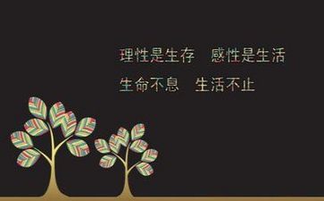 励志报告作文7篇