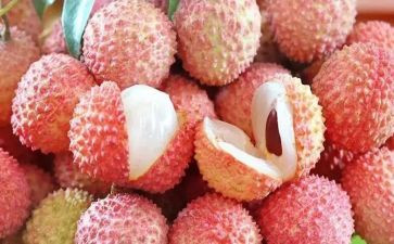游荔枝湾的作文7篇