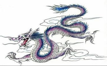 龙舟作文600字最新7篇