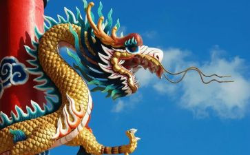 武士与龙的读后感5篇
