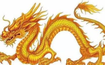 做恐龙教案精选8篇