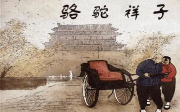 骆驼祥子读后感范文800字5篇