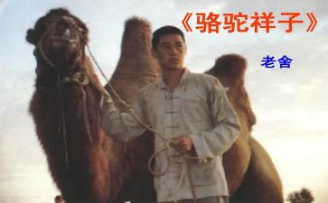 骆驼祥子7的读后感通用8篇