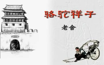 600字骆驼祥子读后感通用7篇
