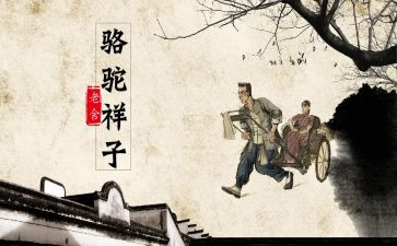 《骆驼祥子》心得体会600字6篇