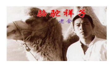 骆驼祥子7的读后感6篇