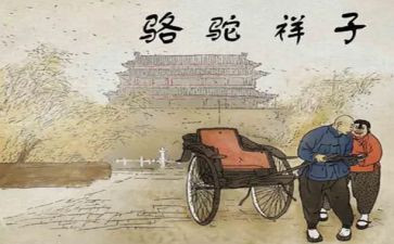 骆驼祥子心得体会400字8篇